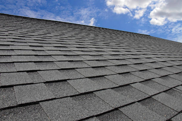 Best Roof Moss and Algae Removal  in Lake San Marcos, CA