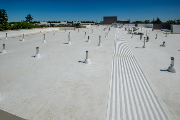 Best Cold Roofs  in Lake San Marcos, CA